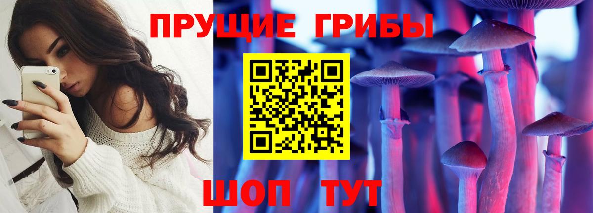Александров  Галлюциногенные грибы ЛСД  Псилоцибиновые грибы ЛСД  Вход с VPN 