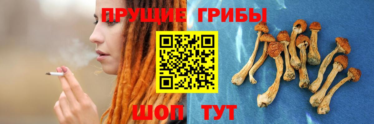 Галлюциногенные грибы GOLDEN TEACHER Александров